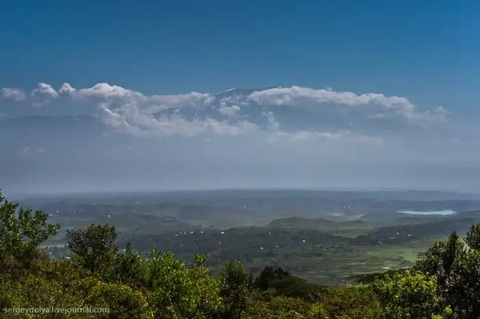 Что будет, если вылезти из машины со время сафари