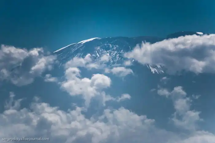 Что будет, если вылезти из машины со время сафари