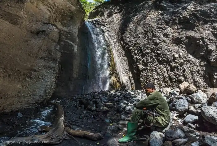 Что будет, если вылезти из машины со время сафари