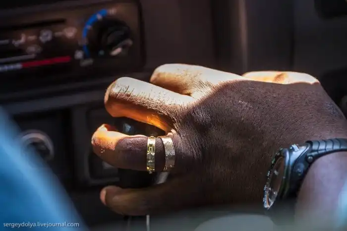 Что будет, если вылезти из машины со время сафари