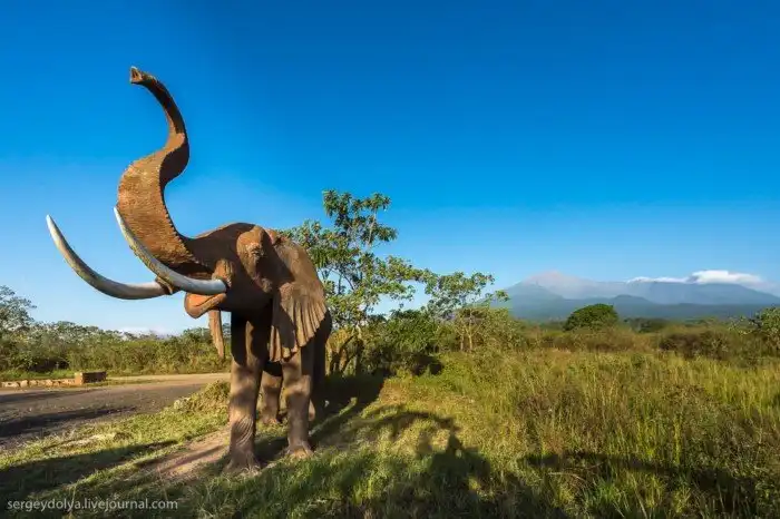 Что будет, если вылезти из машины со время сафари