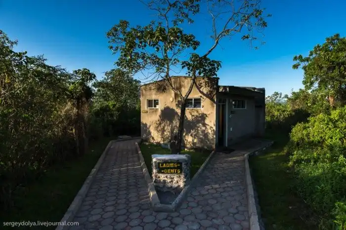 Что будет, если вылезти из машины со время сафари