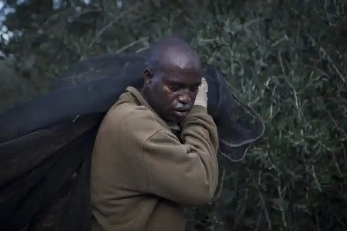 Как живут сезонные рабочие в Европе