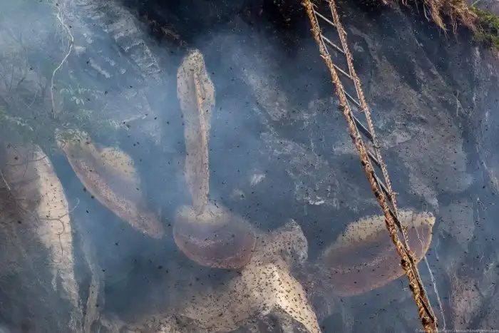 Неизвестные Гималаи: охотники за медом диких пчёл. Часть 2