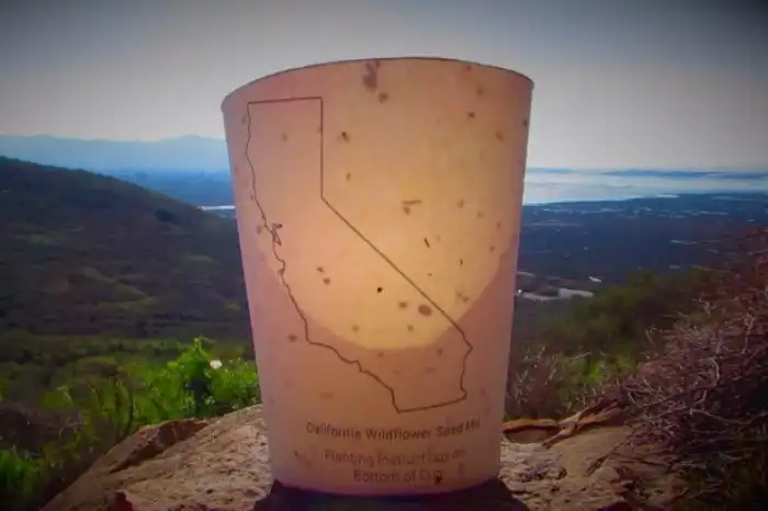 Не по инструкции: 10 привычных вещей с непривычными функциями