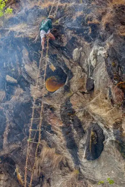 Неизвестные Гималаи: в поисках охотников за медом диких пчёл