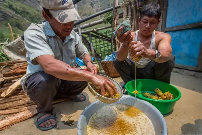 Неизвестные Гималаи: в поисках охотников за медом диких пчёл
