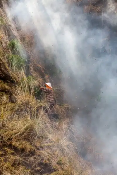 Неизвестные Гималаи: в поисках охотников за медом диких пчёл