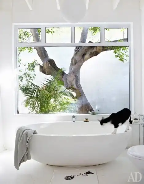 Как оформить ванную: 25 самых оригинальных идей