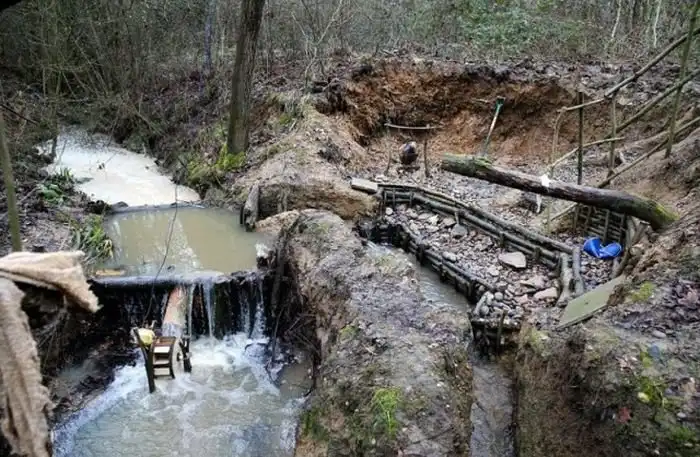 Британского бездомного, построившего мазанку в лесу, выгоняют из дома