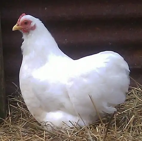 Ох*ительная история #1