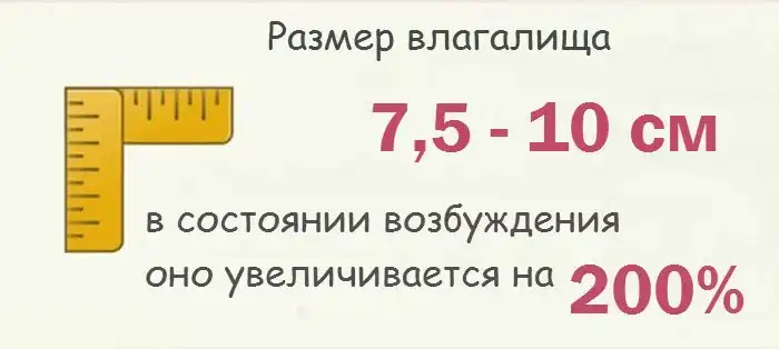 Интересные факты о женской интимной зоне