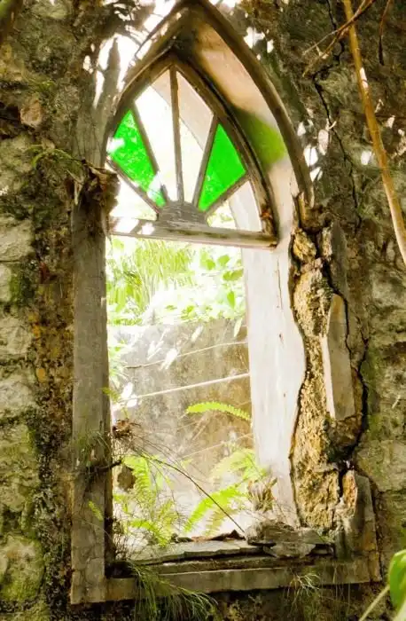 Дикая природа поглощает следы жизни человека на архипелаге Чагос