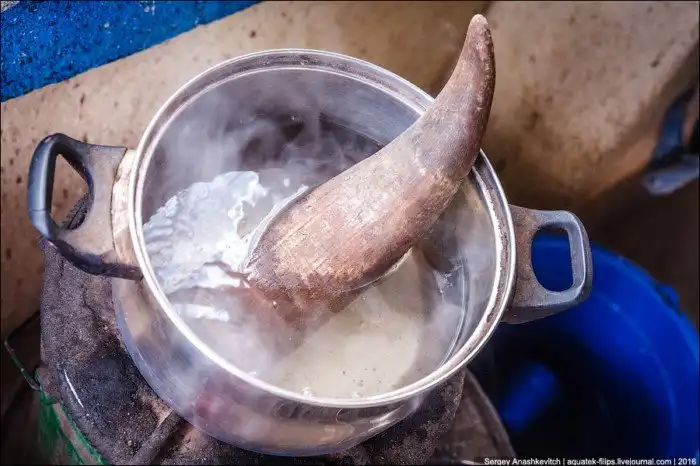 Как делают изделия из коровьих рогов на Мадагаскаре