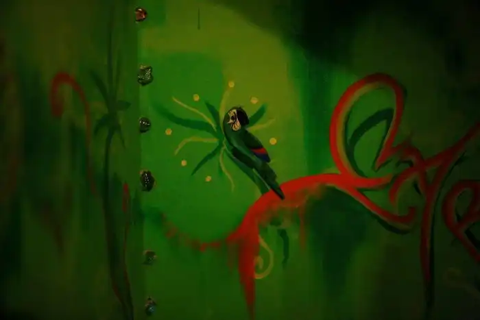 Как дешево съездить на Олимпиаду в Рио