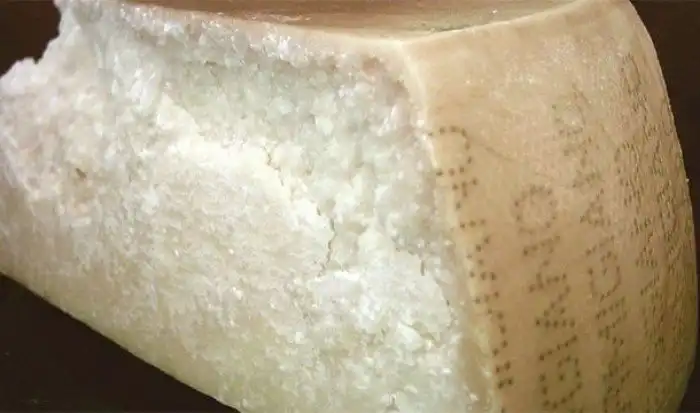 Вся правда об обонянии, которая заставит вас ценить свой нос