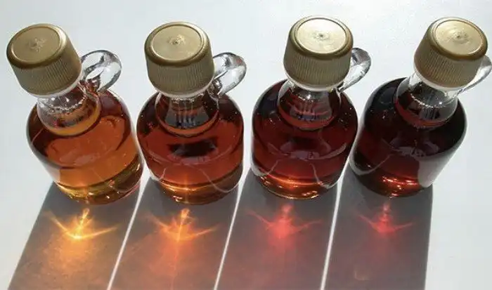 Вся правда об обонянии, которая заставит вас ценить свой нос