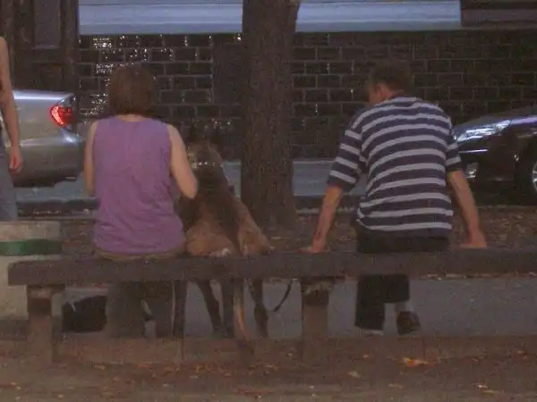 Эх, хорошо сидим!