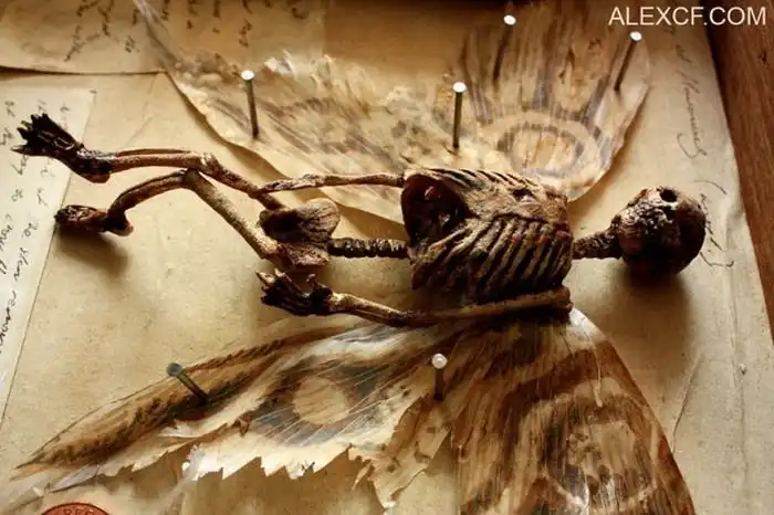 Оригинальная коллекция макетов тел мифических существ