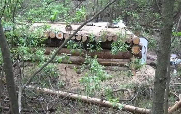 В Костромской области мужчина построил лесную землянку, планируя спастись от апокалипсиса и коллекторов