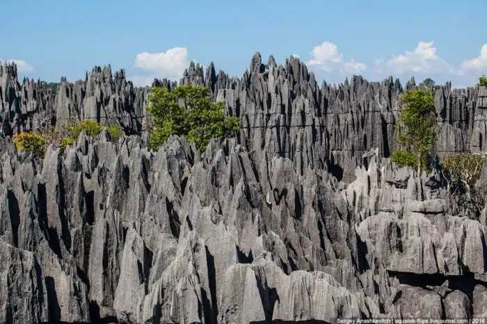 Это стоит увидеть своими глазами! Каменный лес Цинги