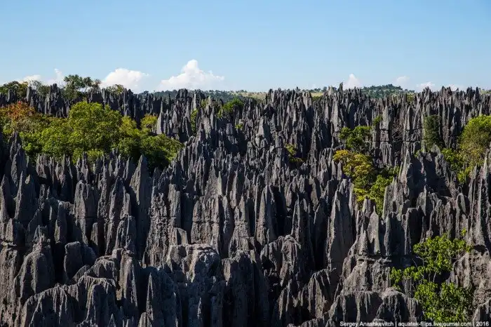 Это стоит увидеть своими глазами! Каменный лес Цинги