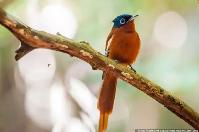 Это стоит увидеть своими глазами! Каменный лес Цинги