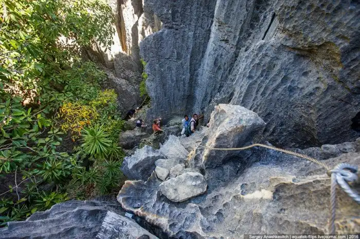 Это стоит увидеть своими глазами! Каменный лес Цинги