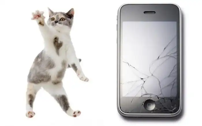 Изобретения Apple, которые так и не были выпущены