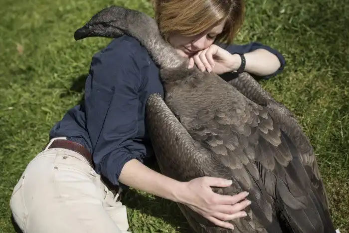 Животные, которые делают новости