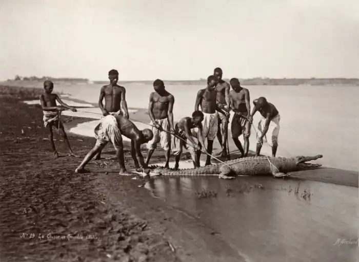 Выставка фотографий, сделанных в 19 веке на заре фотографического искусства