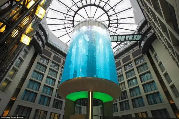 Просто дух захватывает: 10 самых впечатляющих подъёмников в мире