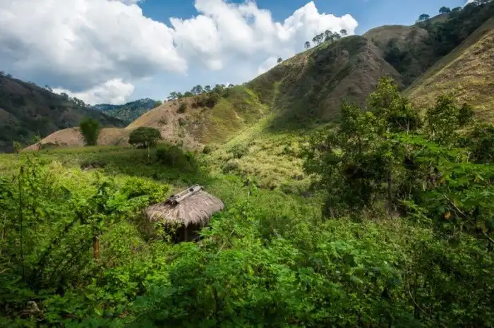 Игороты: как живут горные племена в филиппинских Кордильерах