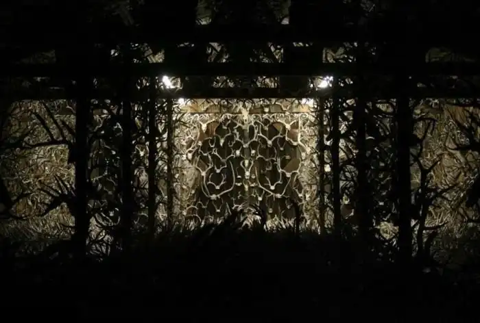 Коллекционер собрал 15 000 рогов различных животных