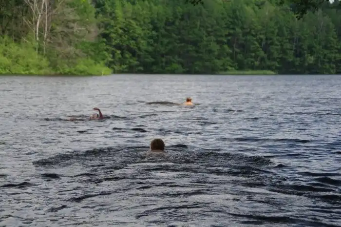 Немецких нудистов заставляют одеться из-за мигрантов