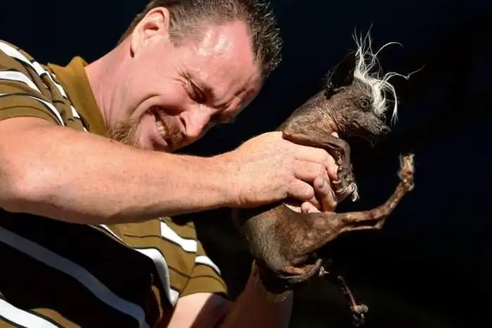 В Калифорнии прошел конкурс на титул самой уродливой собаки в мире