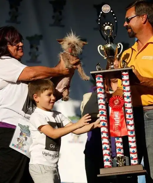 В Калифорнии прошел конкурс на титул самой уродливой собаки в мире