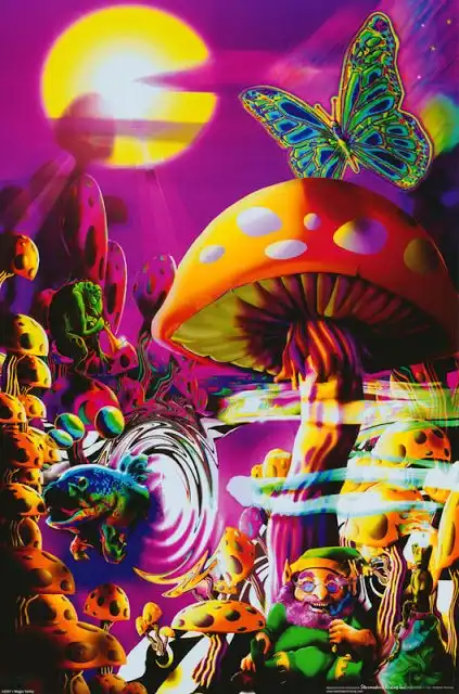 Экспедиция 32: беседы о просветлении (сатори) как смысле дзен-буддизма