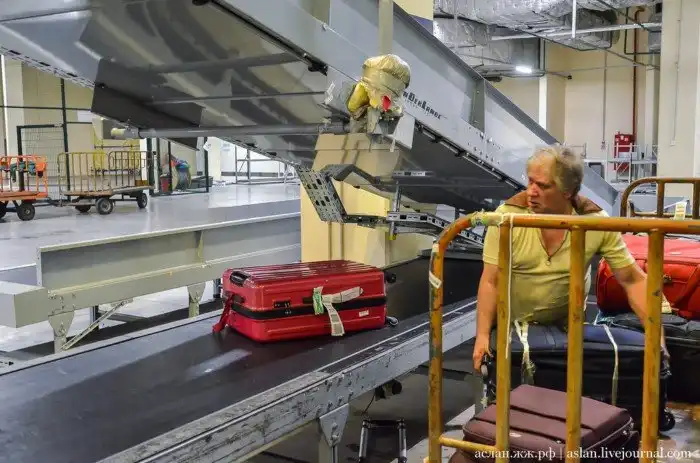 Как работает аэропорт Шереметьево