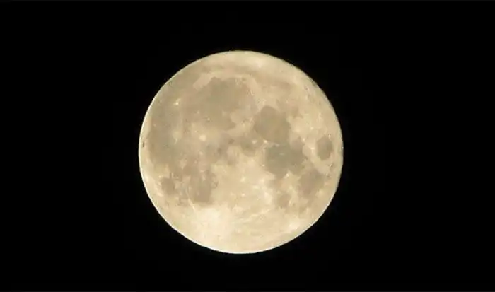 Интересные факты, которые вас позабавят