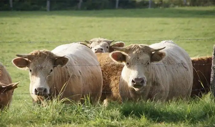 Интересные факты, которые вас позабавят