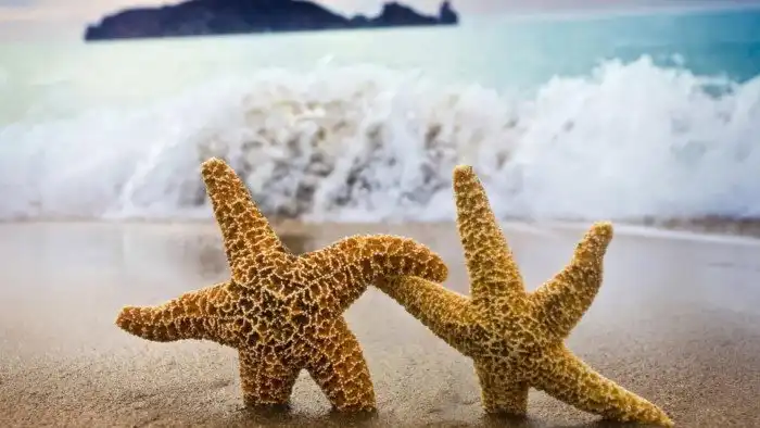 8 вещей, которые важно помнить, когда всё идет не так