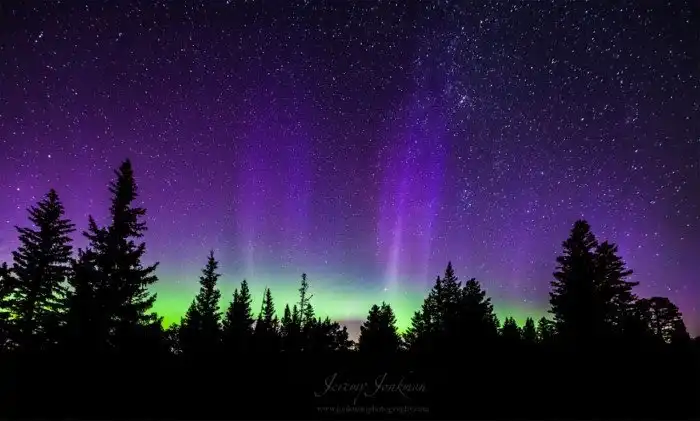 30 фотографий с фиолетовым настроением