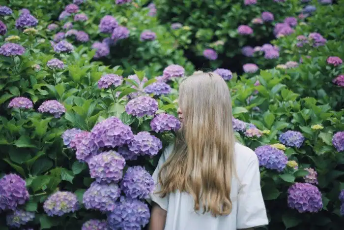 30 фотографий с фиолетовым настроением