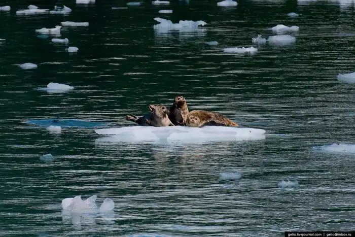Линия перемены дат. Перелёт с Камчатки на Аляску через Тихий океан