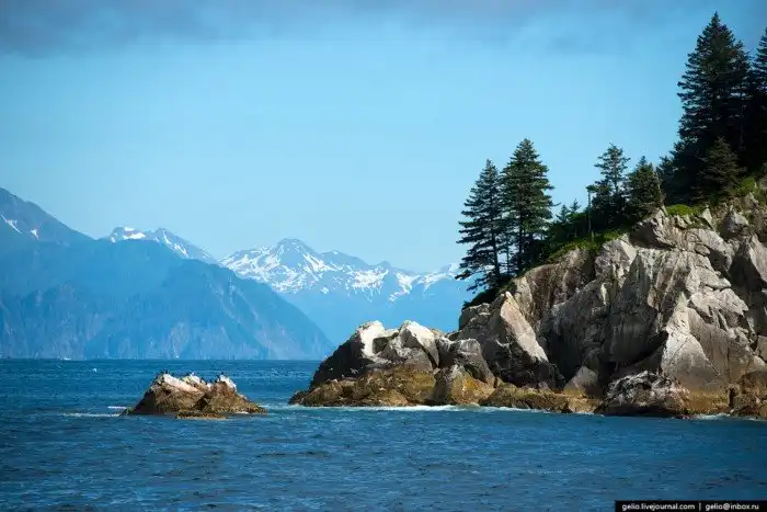 Линия перемены дат. Перелёт с Камчатки на Аляску через Тихий океан