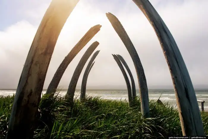 Линия перемены дат. Перелёт с Камчатки на Аляску через Тихий океан