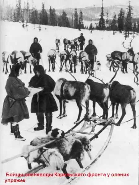 Забытые сражения. Мурманская наступательная операция