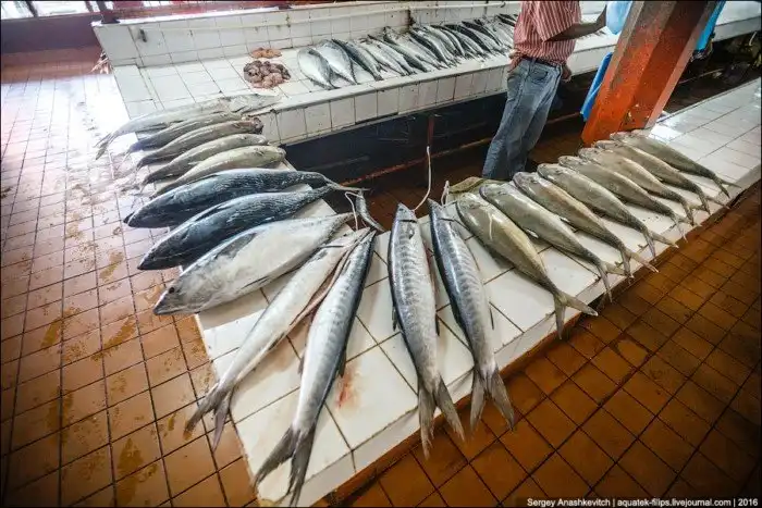 Колхозный рынок на Фиджи