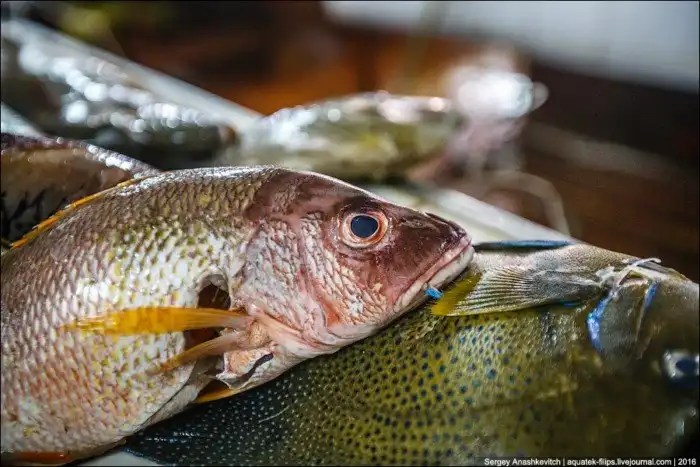 Колхозный рынок на Фиджи